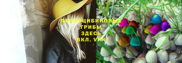 ПСИЛОЦИБИНОВЫЕ ГРИБЫ Алзамай
