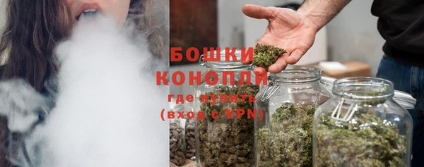 ПСИЛОЦИБИНОВЫЕ ГРИБЫ Алзамай