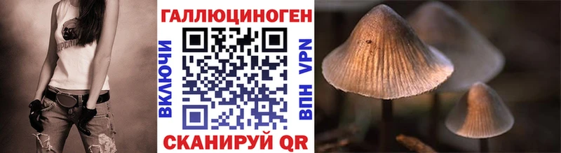 где купить   Цивильск  Галлюциногенные грибы Psilocybine cubensis 